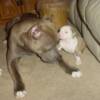 3 wks old