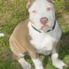 16 wks old